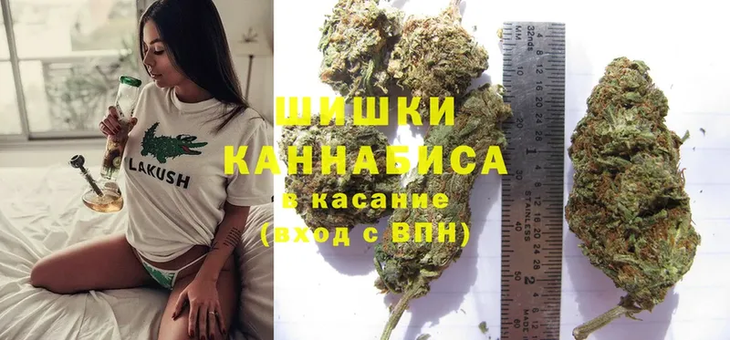 как найти   ссылка на мегу tor  Бошки марихуана White Widow  Электрогорск 